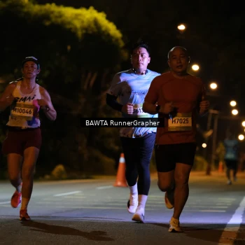 Runner Photo 1572047