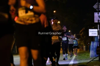 Runner Photo 1583275