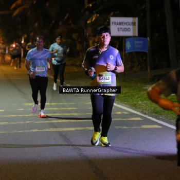 Runner Photo 1583544
