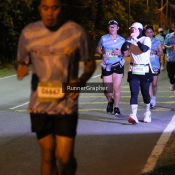 Runner Photo 1599262