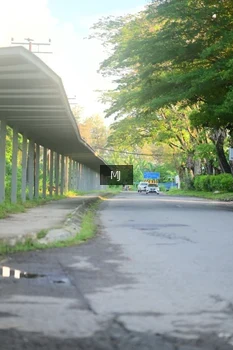 Runner Photo 1600709