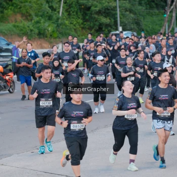 Runner Photo 1604339