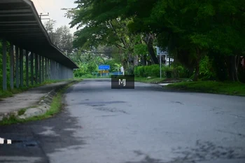 Runner Photo 1608307