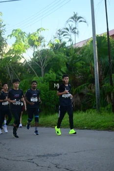 Runner Photo 1611111