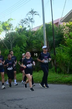 Runner Photo 1611132