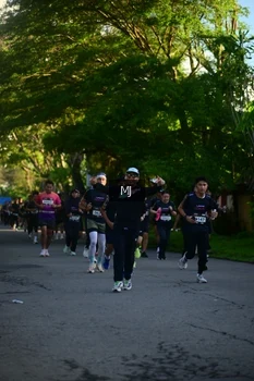 Runner Photo 1611973