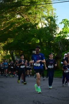Runner Photo 1612161