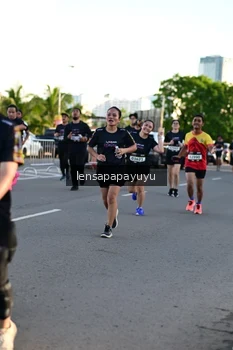 Runner Photo 1612169