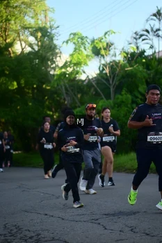 Runner Photo 1612348