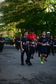 Runner Photo 1612767