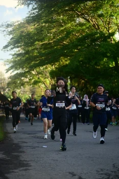 Runner Photo 1612993