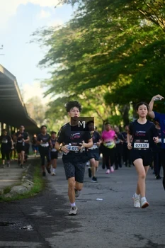 Runner Photo 1613139