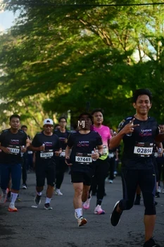 Runner Photo 1613173