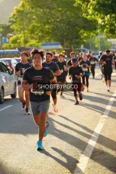 Runner Photo 1616079