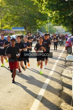 Runner Photo 1616164