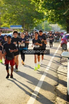 Runner Photo 1616173