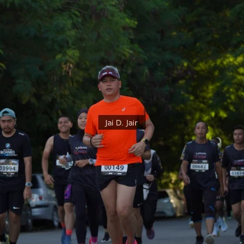 Runner Photo 1617147