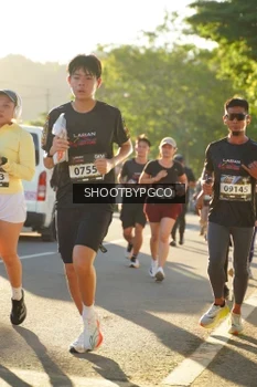 Runner Photo 1617846