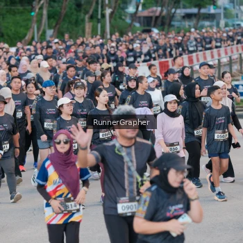 Runner Photo 1618247