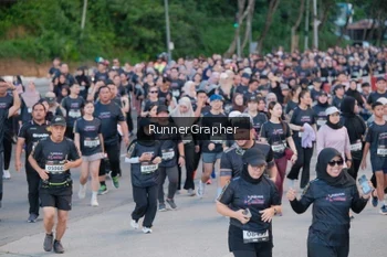 Runner Photo 1618289