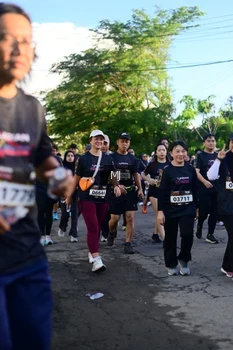 Runner Photo 1620566