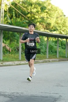Runner Photo 1631379