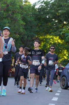 Runner Photo 1637503