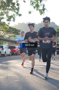 Runner Photo 1647244