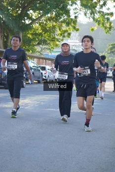 Runner Photo 1649209