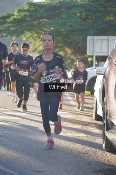 Runner Photo 1649247