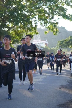 Runner Photo 1650544