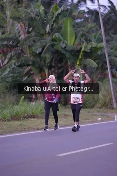 Runner Photo 1686565