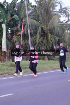Runner Photo 1687075