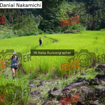 Runner Photo 169297