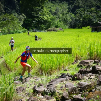Runner Photo 169393