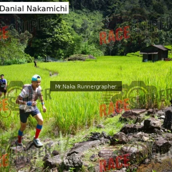 Runner Photo 169396