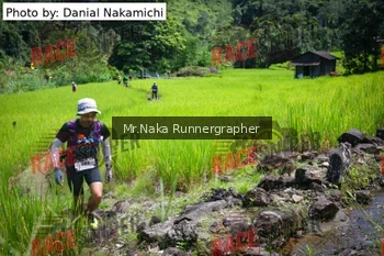 Runner Photo 169437