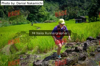 Runner Photo 169542