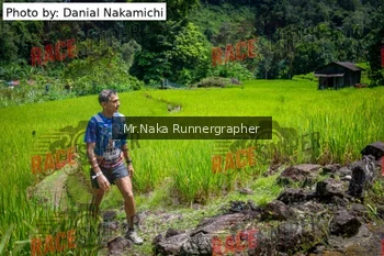 Runner Photo 169546