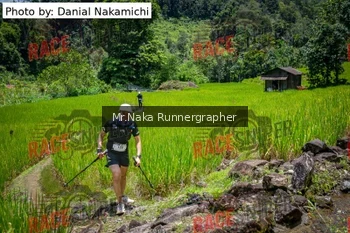 Runner Photo 170258