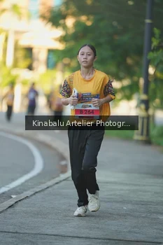 Runner Photo 1706329