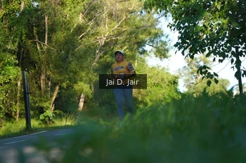 Runner Photo 1707270