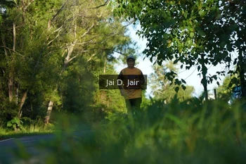 Runner Photo 1707974