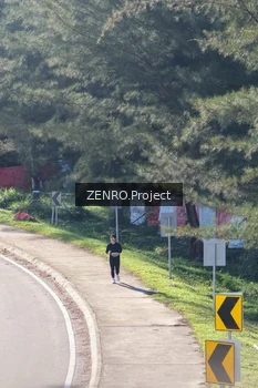 Runner Photo 1718041