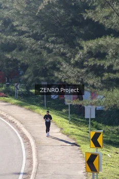 Runner Photo 1718043