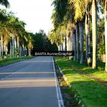 Runner Photo 1721496