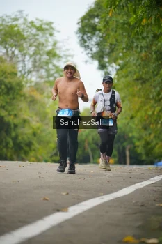 Runner Photo 1735402