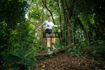 Runner Photo 1736054