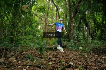 Runner Photo 1736194