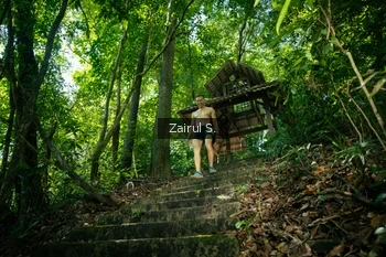 Runner Photo 1736550